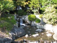 IMG_3327.JPG